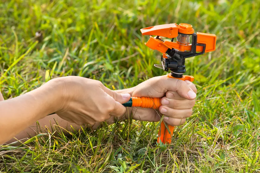 How To Choose The Right Irrigation System For Your Landscape in Prescott Valley, AZ How To Choose The Right Irrigation System For Your Landscape in Prescott Valley, AZ