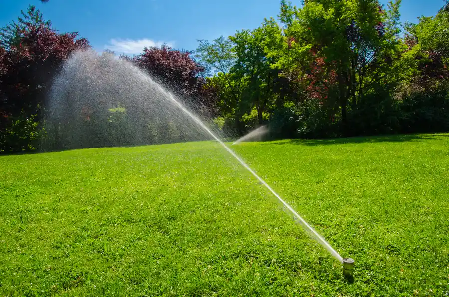 The Importance Of Regular Maintenance For Your Irrigation System in Prescott Valley, AZ The Importance Of Regular Maintenance For Your Irrigation System in Prescott Valley, AZ